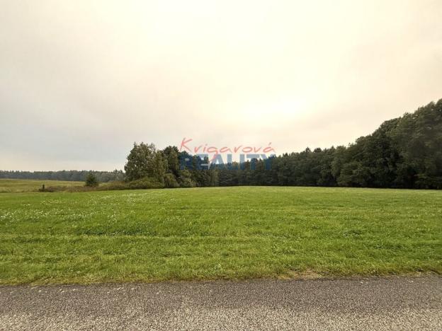 Prodej pole, Ledenice - Zborov, 14160 m2