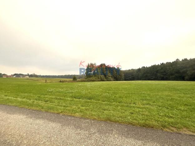 Prodej pole, Ledenice - Zborov, 14160 m2