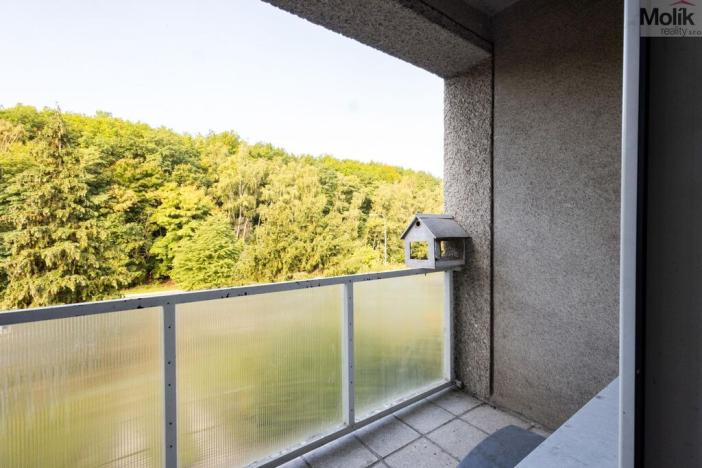 Prodej rodinného domu, Most, Pod Širokým vrchem, 341 m2