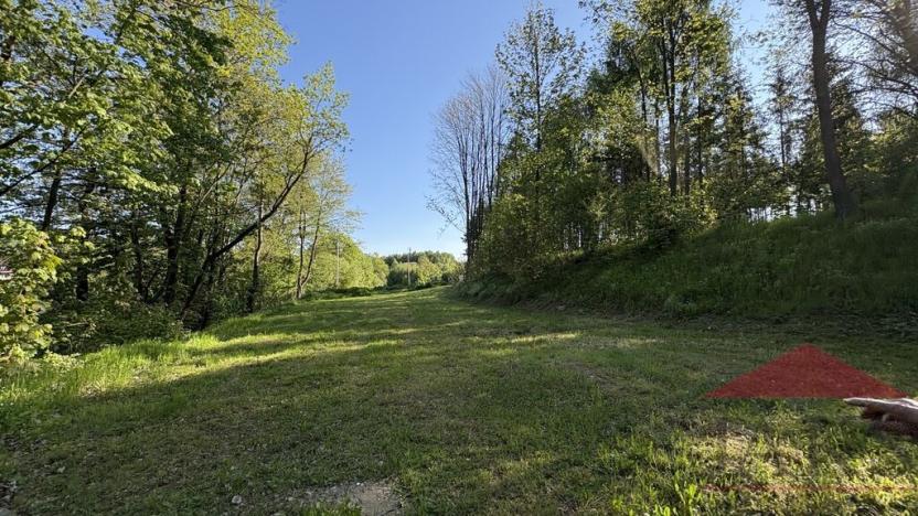 Prodej louky, Sušice, 2433 m2