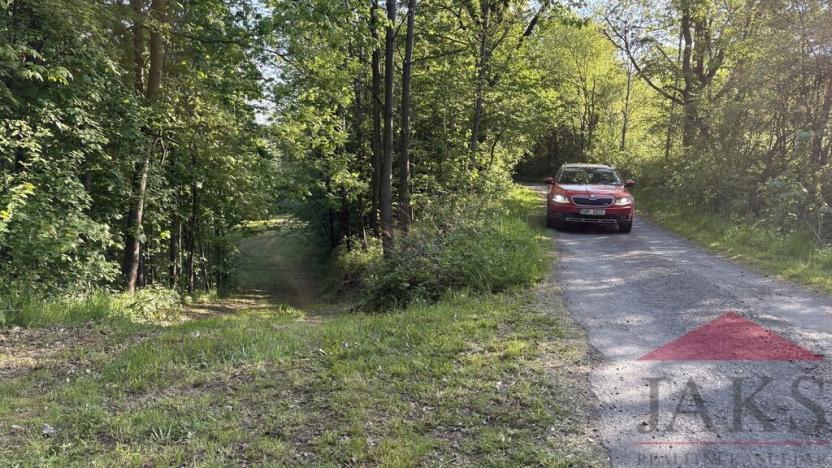 Prodej louky, Sušice, 2433 m2