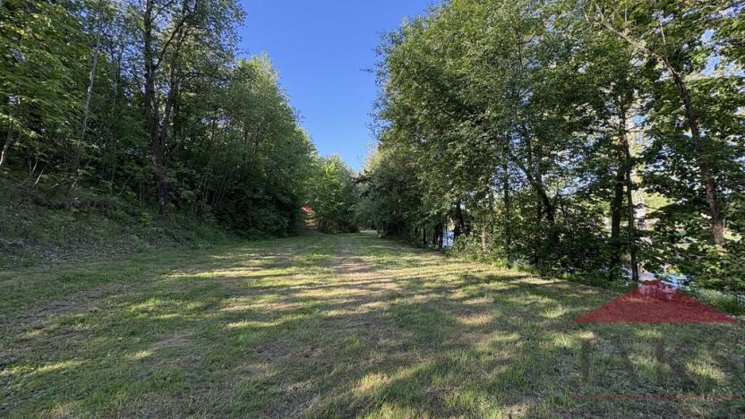 Prodej louky, Sušice, 2433 m2