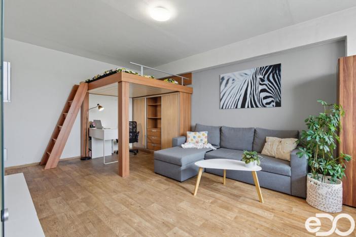 Prodej bytu 1+1, Mladá Boleslav, Jana Palacha, 43 m2