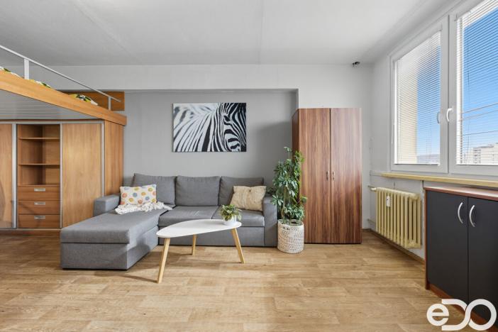 Prodej bytu 1+1, Mladá Boleslav, Jana Palacha, 43 m2