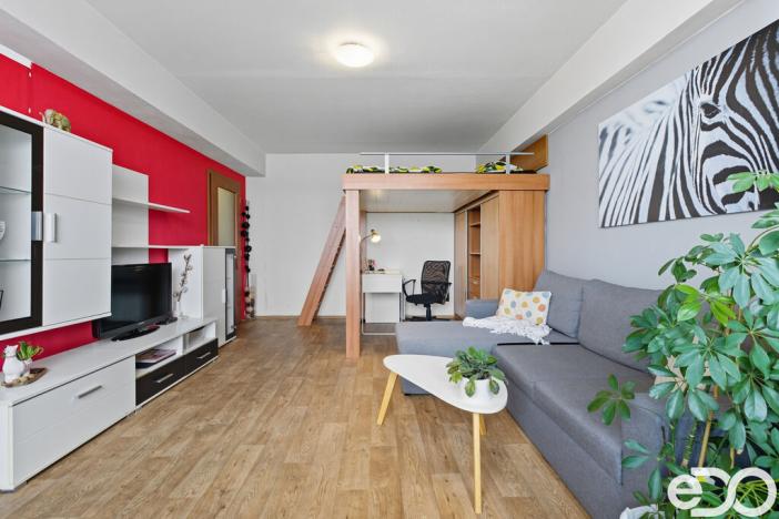 Prodej bytu 1+1, Mladá Boleslav, Jana Palacha, 43 m2