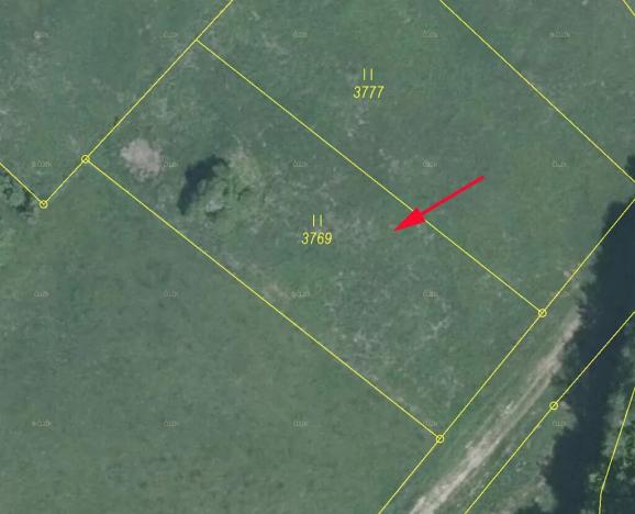 Prodej podílu louky, Nedašov, 346 m2