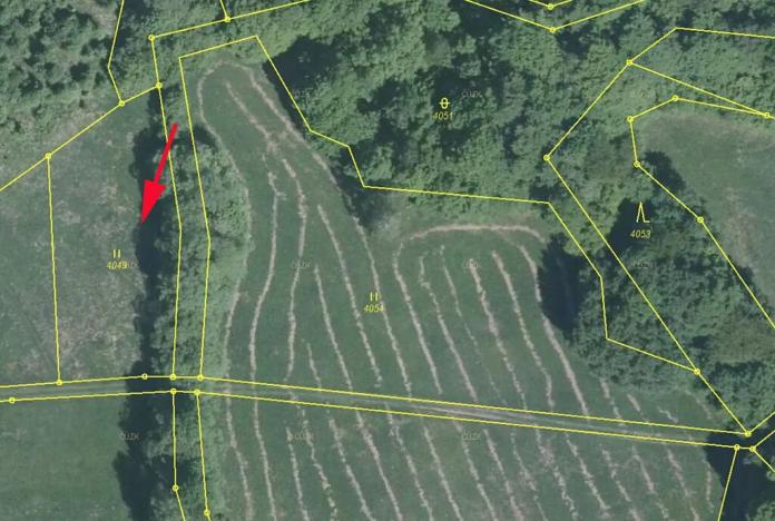 Prodej podílu louky, Nedašov, 350 m2