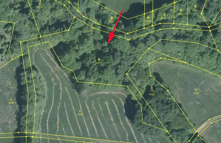 Prodej podílu louky, Nedašov, 962 m2