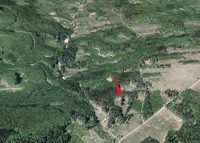 Prodej podílu lesa, Nedašov, 386 m2