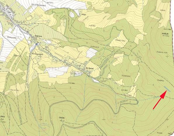 Prodej podílu lesa, Nedašov, 386 m2