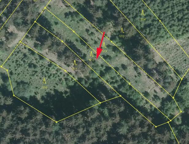 Prodej podílu lesa, Nedašov, 386 m2