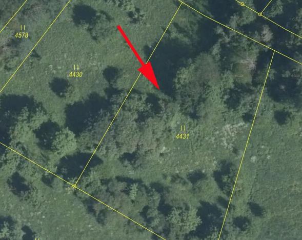 Prodej louky, Železný Brod, 2848 m2