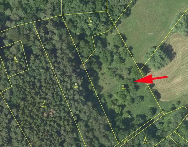 Prodej louky, Borotín, 4646 m2