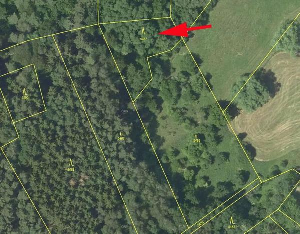 Prodej lesa, Borotín, 1374 m2