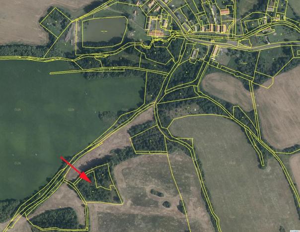 Prodej louky, Mašťov, 9839 m2