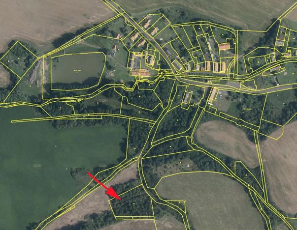 Prodej lesa, Mašťov, 4840 m2