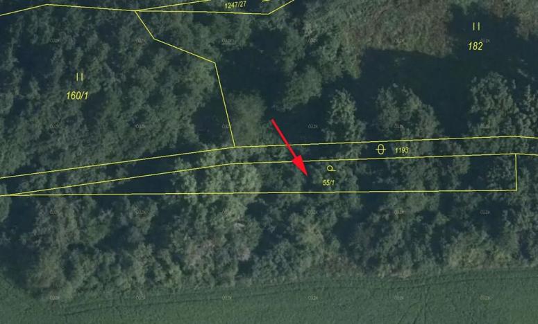 Prodej sadu/vinice, Mašťov, 553 m2