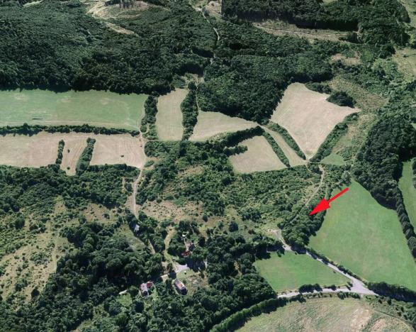 Prodej lesa, Mašťov, 1300 m2