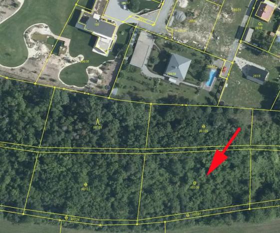 Prodej lesa, Skuteč, 3111 m2