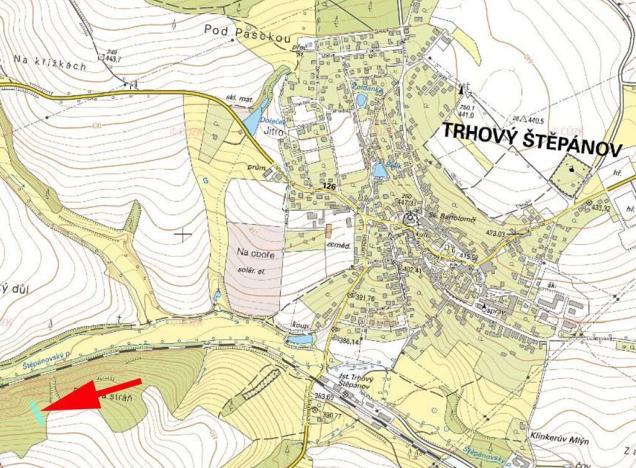 Prodej lesa, Trhový Štěpánov, 1133 m2