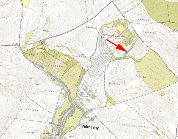 Prodej lesa, Němčany, 1773 m2