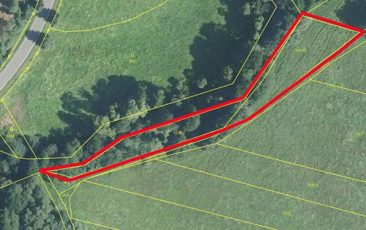 Prodej louky, Bernartice, 1900 m2