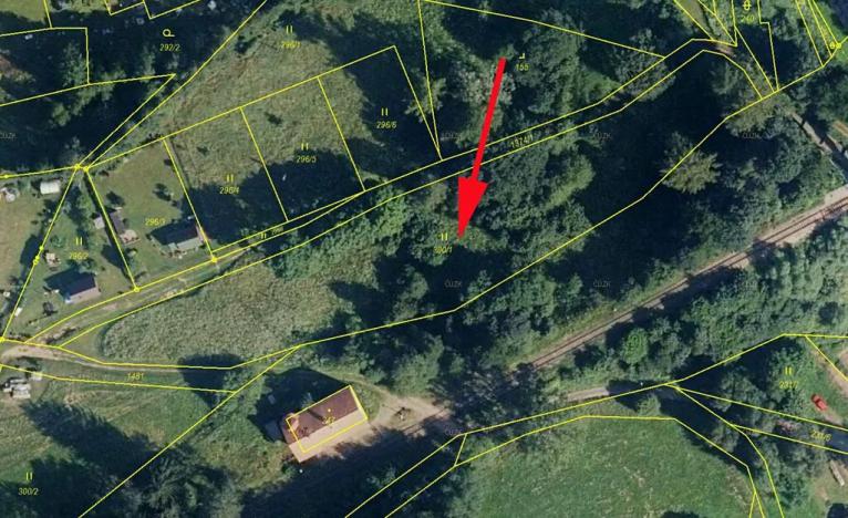 Prodej louky, Bernartice, 3773 m2