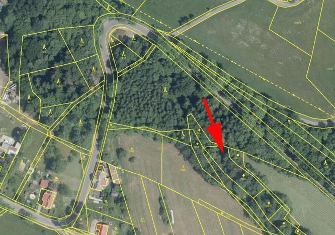 Prodej lesa, Zlatá Olešnice, 956 m2