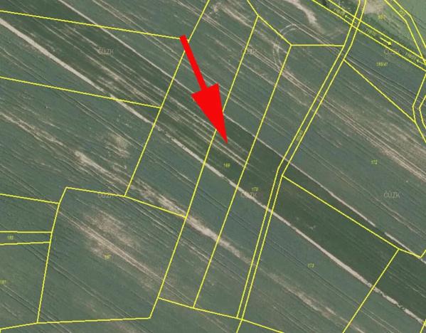 Prodej pole, Maňovice, 2819 m2