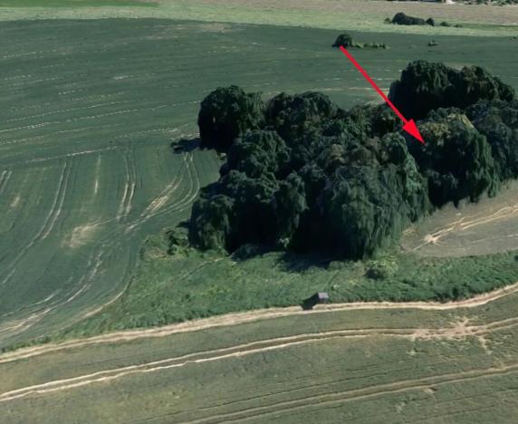 Prodej lesa, Dubnice, 2352 m2