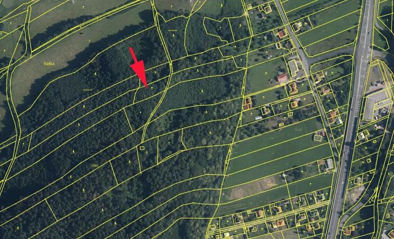 Prodej lesa, Baška, 1729 m2