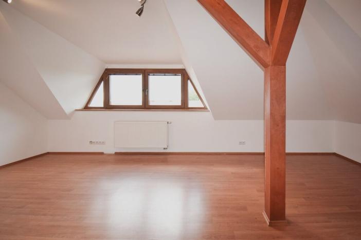 Prodej rodinného domu, Plzeň - Černice, Pod Bručnou, 340 m2