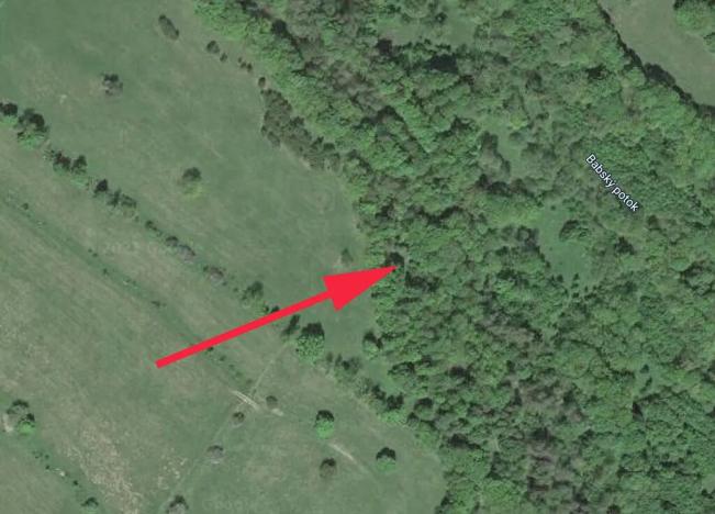 Prodej lesa, Trutnov, 7083 m2