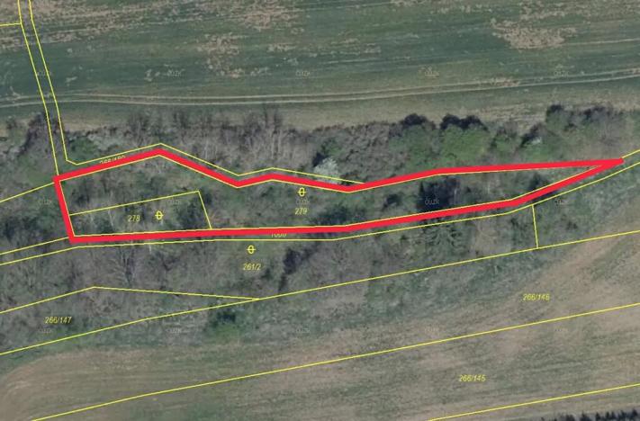 Prodej lesa, Tuchořice, 1477 m2