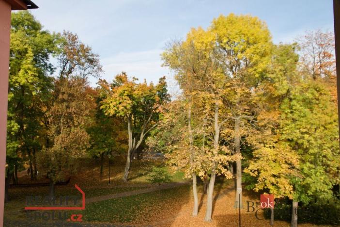 Prodej bytu 3+1, Litvínov - Horní Litvínov, U Zámeckého parku, 59 m2