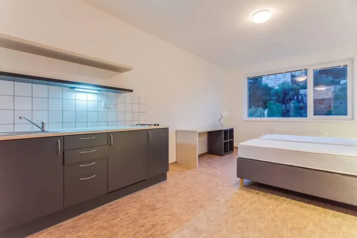 Pronájem apartmánu, Praha - Smíchov, Křížová, 27 m2