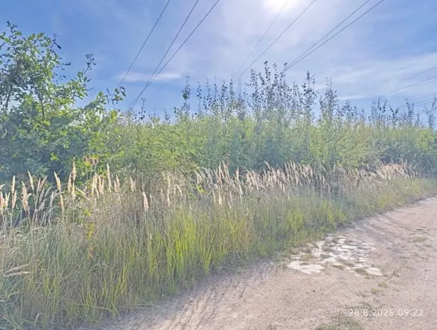 Prodej podílu pozemku, Hluboká nad Vltavou, 1640 m2