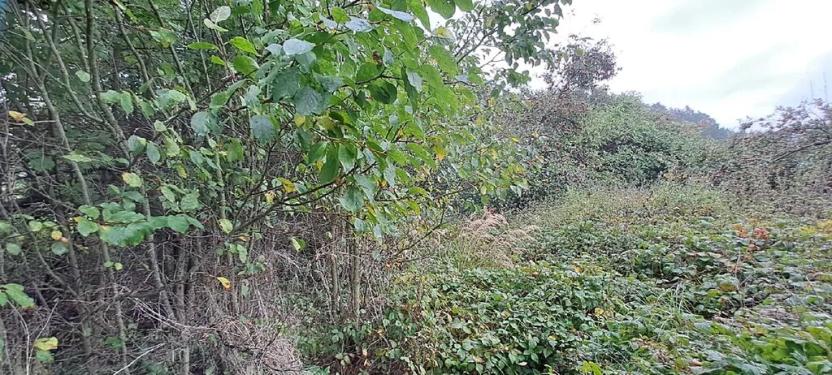 Prodej restaurace, Rabí, 350 m2