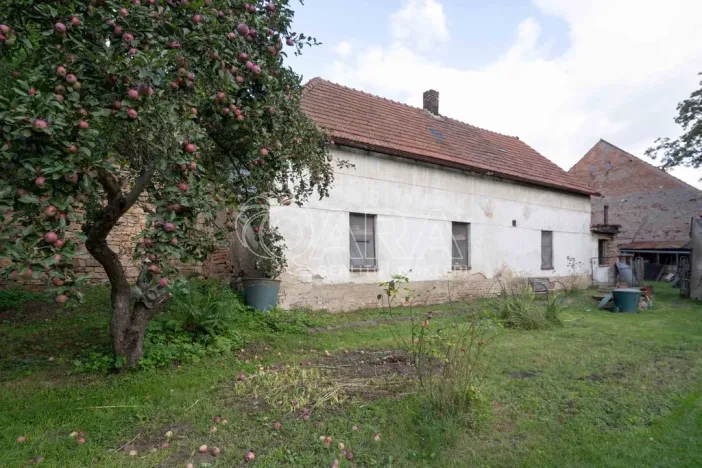 Prodej pozemku pro bydlení, Zápy, 1769 m2