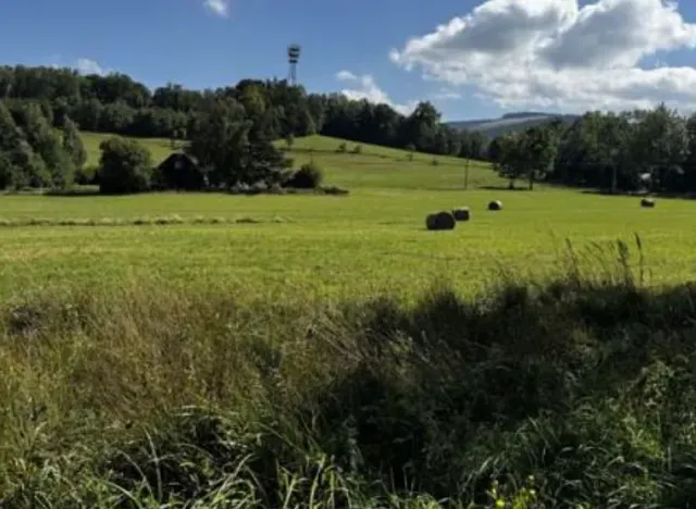 Dražba louky, Zlaté Hory, 32826 m2