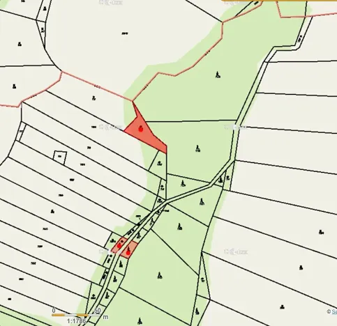 Prodej lesa, Kolinec, 5322 m2
