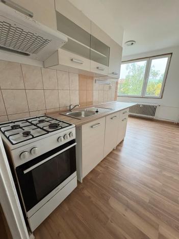 Pronájem bytu 2+1, Duchcov, V Domkách, 61 m2