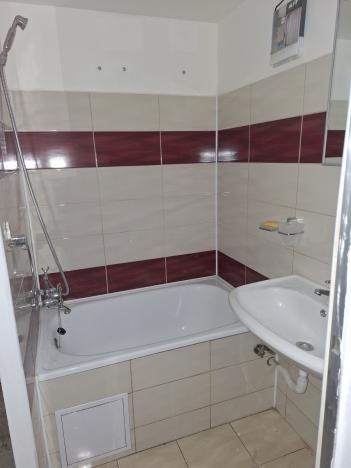 Pronájem bytu 1+1, Bílina, Síbova, 41 m2