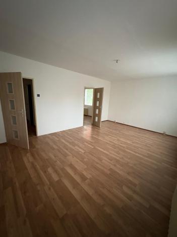 Pronájem bytu 1+1, Bílina, Síbova, 41 m2