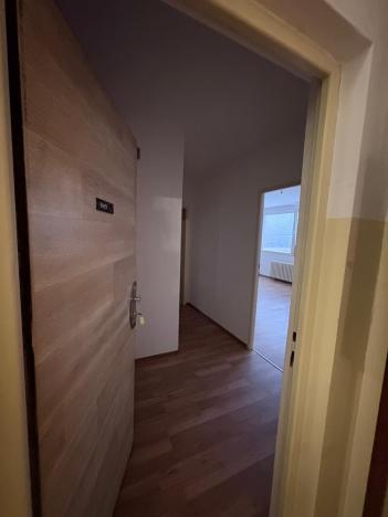 Pronájem bytu 1+1, Bílina, Síbova, 41 m2