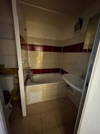 Pronájem bytu 1+1, Bílina, Síbova, 41 m2