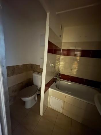 Pronájem bytu 1+1, Bílina, Síbova, 41 m2