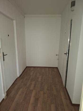 Pronájem bytu 1+1, Bílina, Síbova, 41 m2