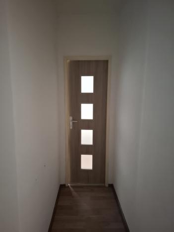 Pronájem bytu 1+1, Bílina, Síbova, 41 m2