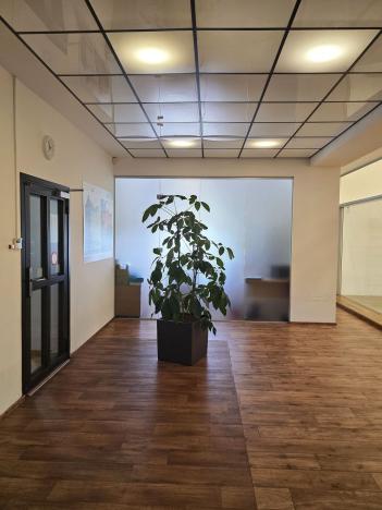 Pronájem kanceláře, Plzeň, Radčická, 275 m2